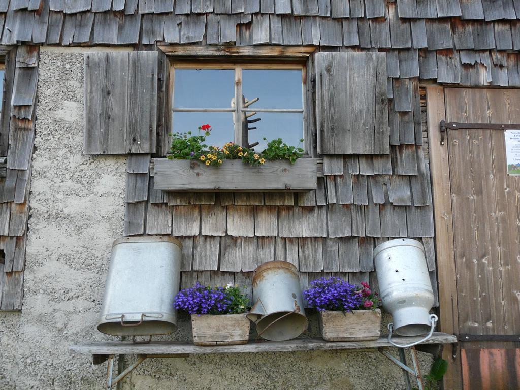 Landhaus Schatz Nesselwängle Extérieur photo